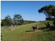 Wonthaggi VIC 3995