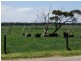Wonthaggi VIC 3995