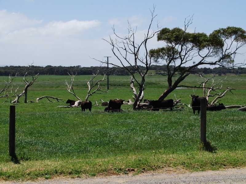 Wonthaggi VIC 3995