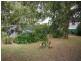 Cape Paterson VIC 3995