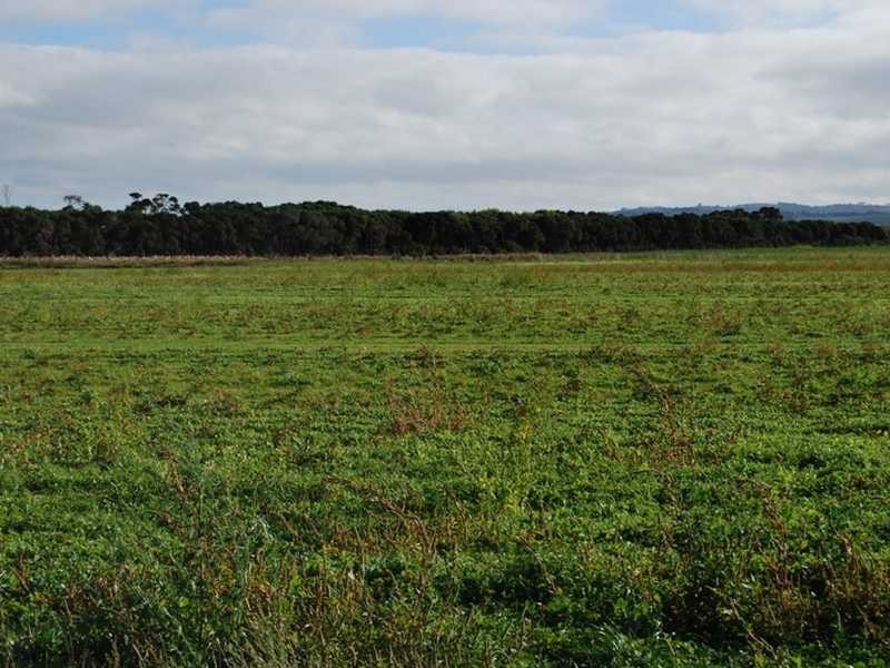 Wonthaggi VIC 3995