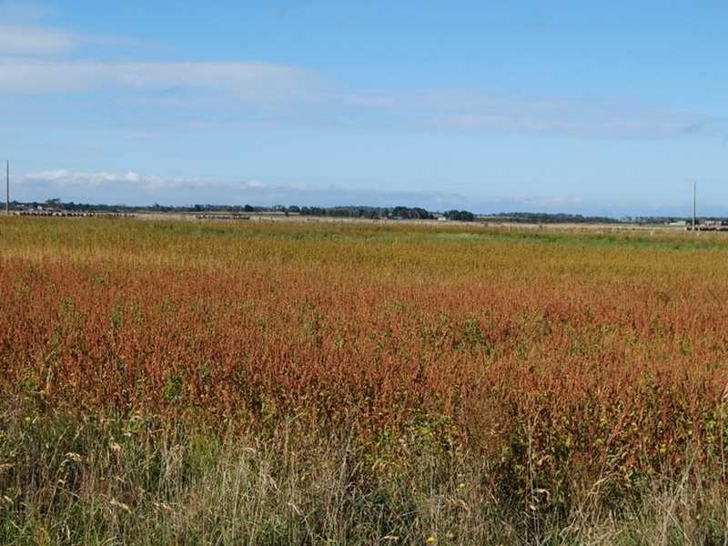 Wonthaggi VIC 3995