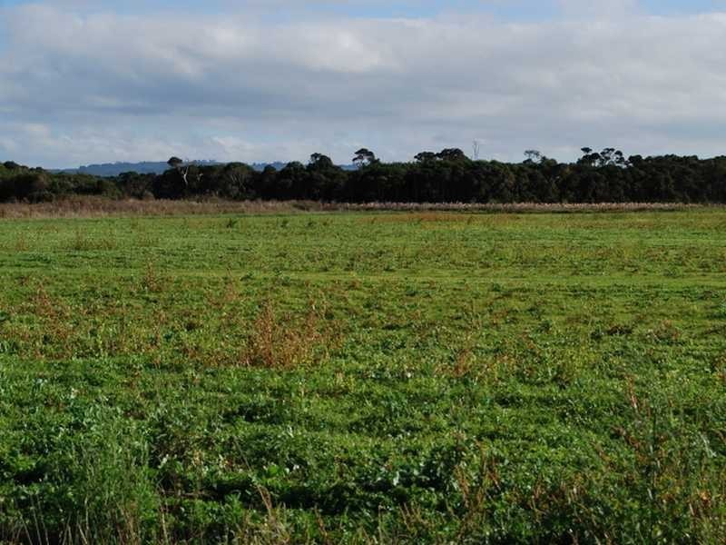 Wonthaggi VIC 3995