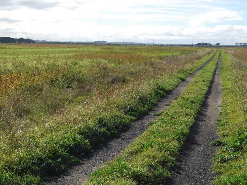 Wonthaggi VIC 3995