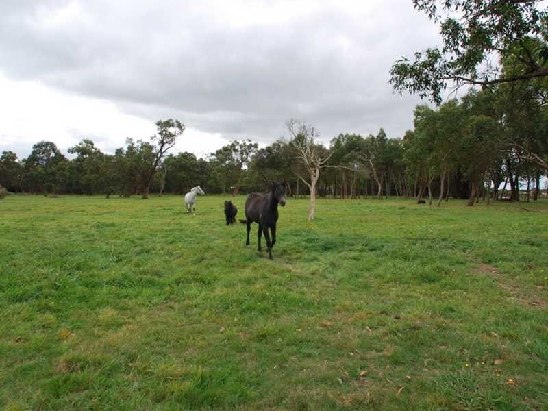 Wonthaggi VIC 3995