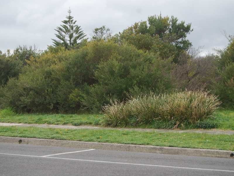 Cape Paterson VIC 3995