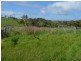 19 Glen Forbes Road, Dalyston VIC 3992