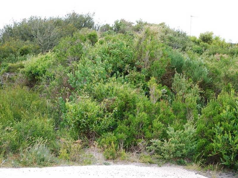 Cape Paterson VIC 3995