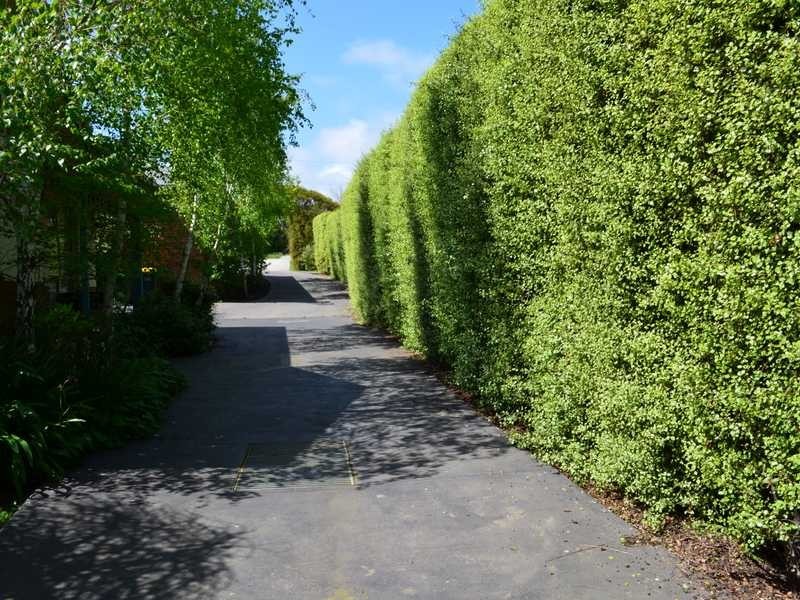Wonthaggi VIC 3995