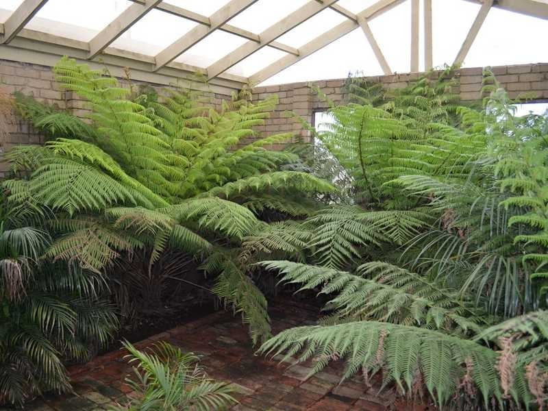 Wonthaggi VIC 3995