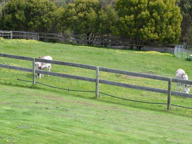 14a Anderson Rise, Anderson VIC 3995