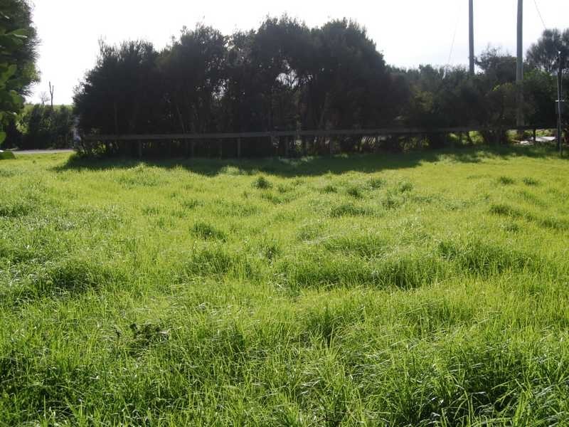 Lot 24 Viminaria Road, Harmers Haven VIC 3995