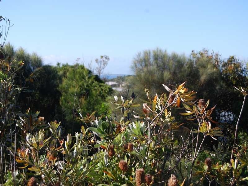 59 Marine Street, Cape Paterson VIC 3995