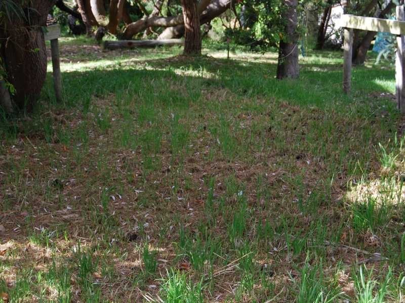 Harmers Haven VIC 3995