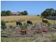 Dalyston VIC 3992