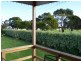 Wonthaggi VIC 3995
