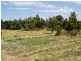 Dalyston VIC 3992
