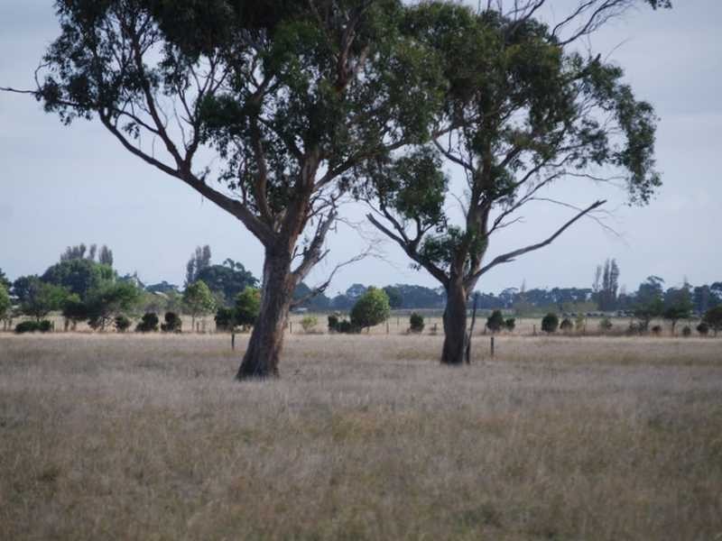 Wonthaggi VIC 3995