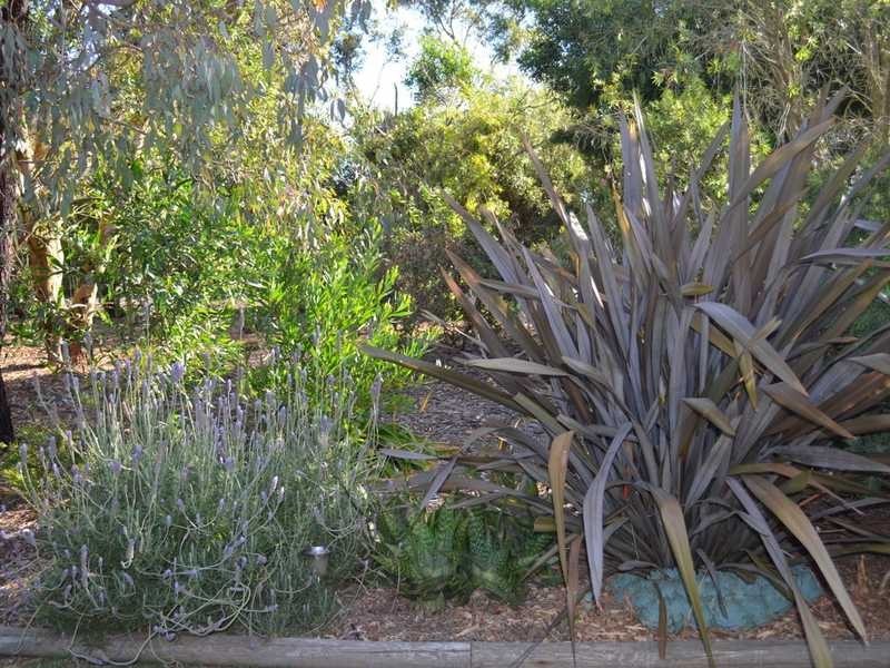 Wonthaggi VIC 3995