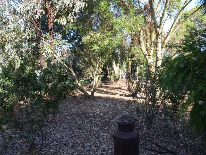 Wonthaggi VIC 3995