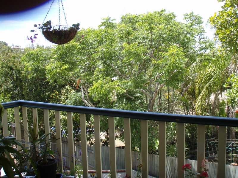 Unit/1/6 Gidgee Court, Caloundra West QLD 4551