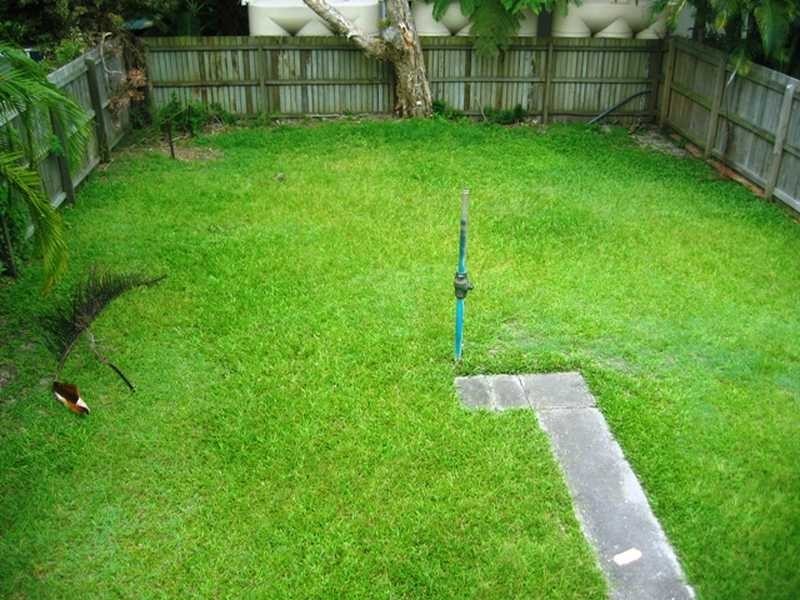 33 Roderick Street, Caloundra QLD 4551