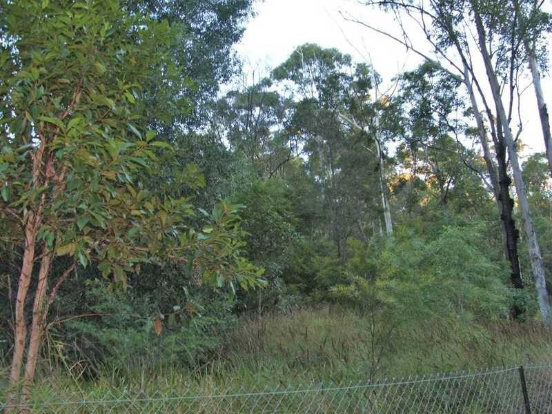 28 Bronhill Street, Currumbin Waters QLD 4223