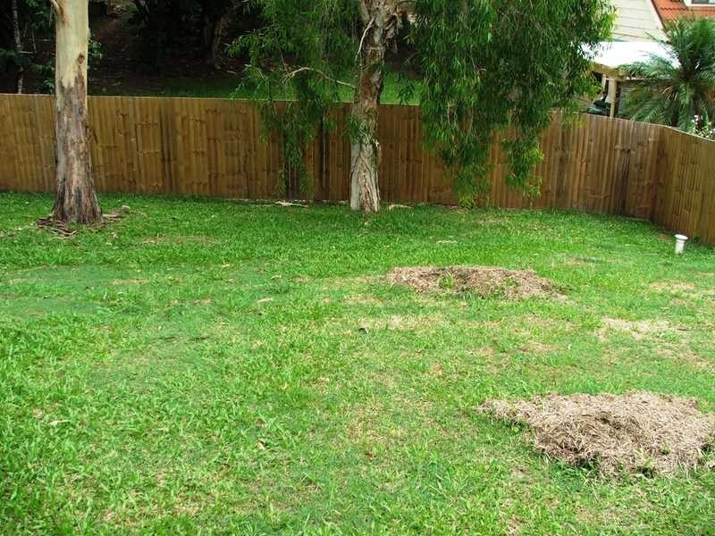 3/9 Daisy Street, Elanora QLD 4221