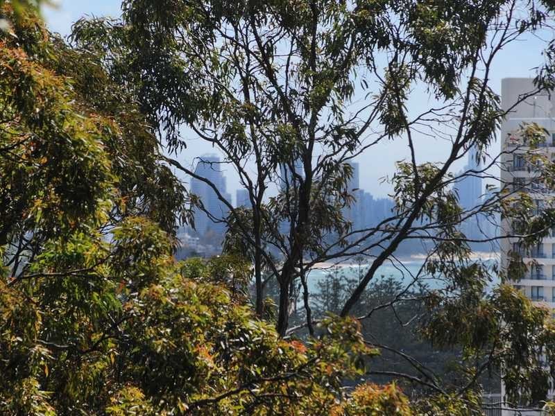 16 Rudd Street, Burleigh Heads QLD 4220