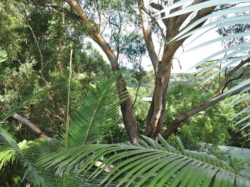 30 Domain Road, Currumbin QLD 4223