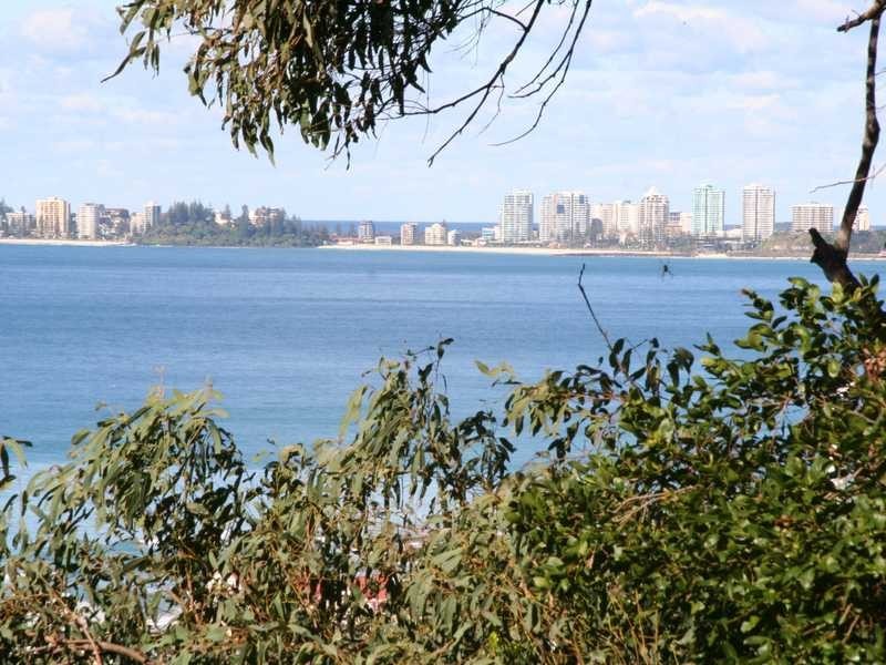 66 Woodgee Street, Currumbin QLD 4223