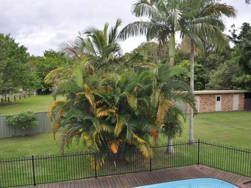 17 Tierney Drive, Currumbin Waters QLD 4223