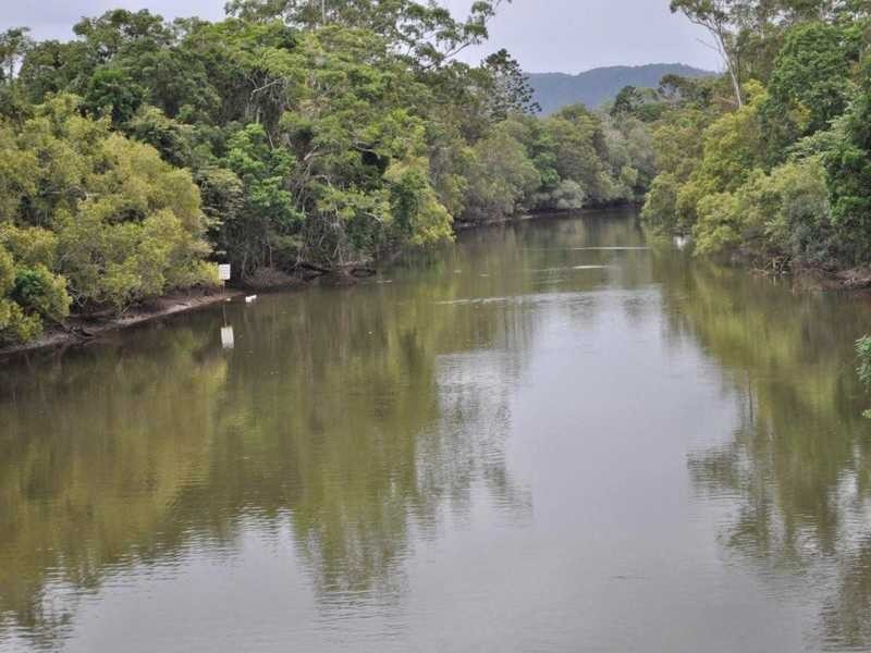 17 Tierney Drive, Currumbin Waters QLD 4223