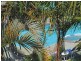 29/147 Golden Four Drive, Bilinga QLD 4225