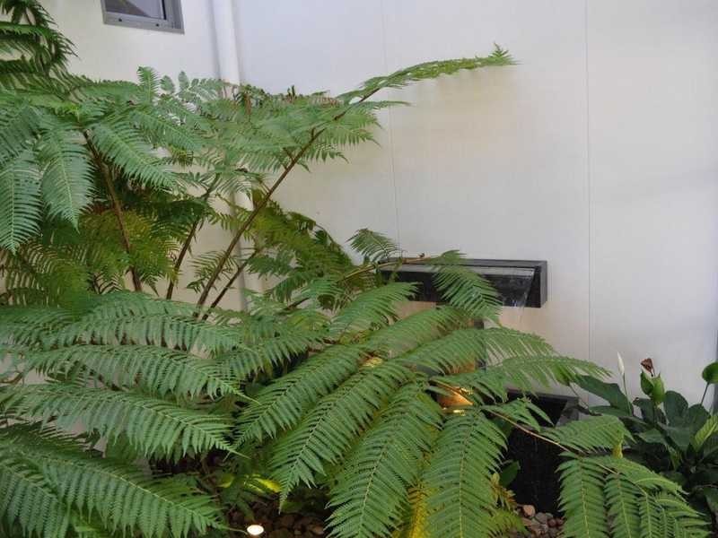 2/14 Sarawak Avenue, Palm Beach QLD 4221