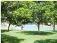 1/3 Barracuda Court, Palm Beach QLD 4221