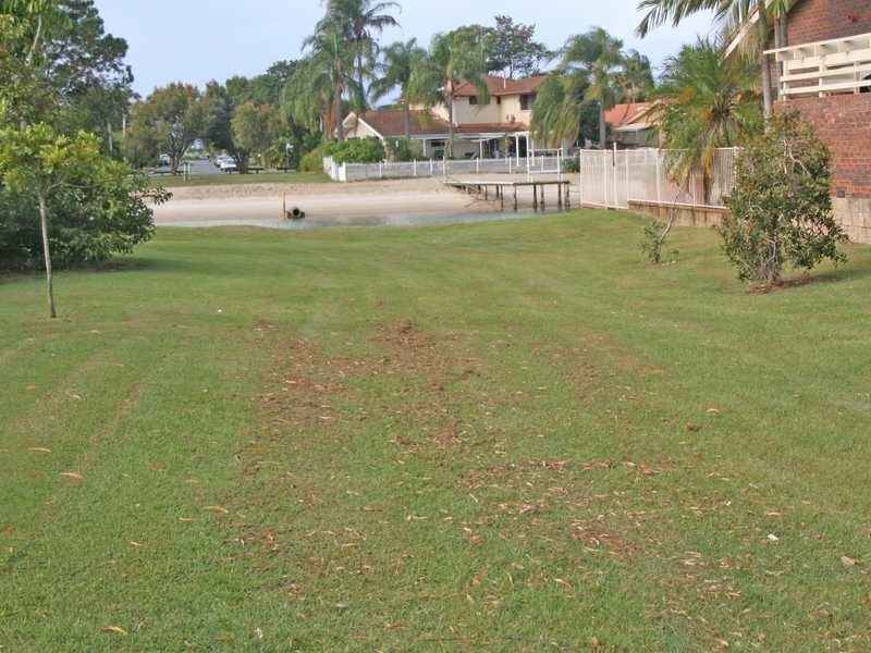 65 Mallawa Drive, Palm Beach QLD 4221