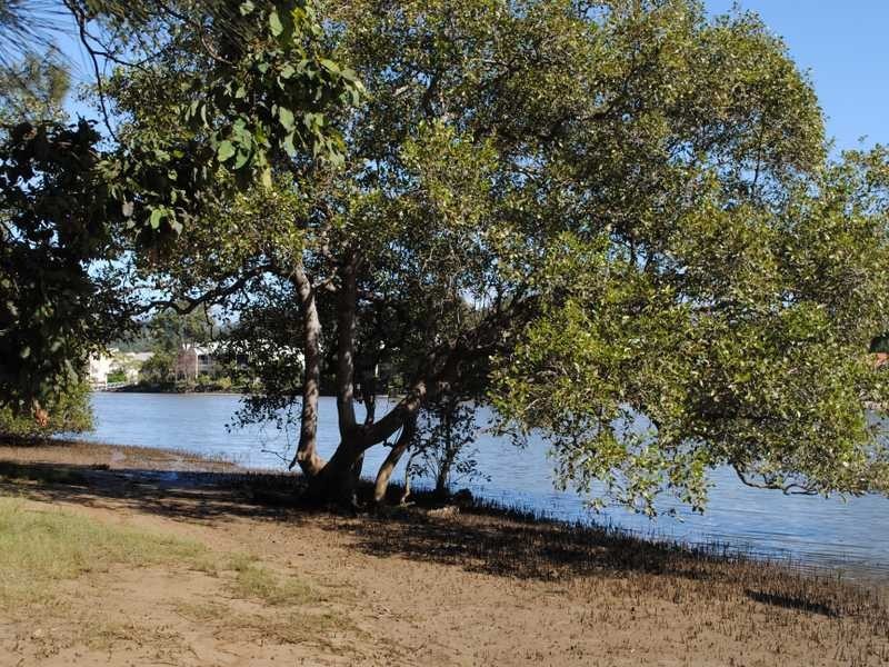 21 Boundary Street, Currumbin Waters QLD 4223