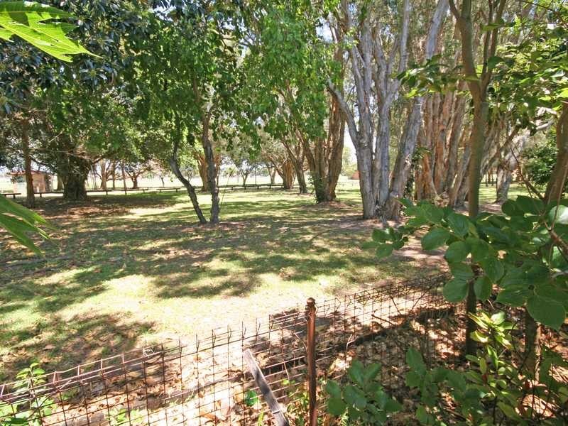 97 Mallawa Drive, Palm Beach QLD 4221