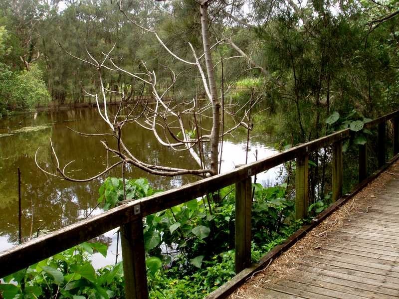 Unit 24/527 Gold Coast Highway, Tugun QLD 4224