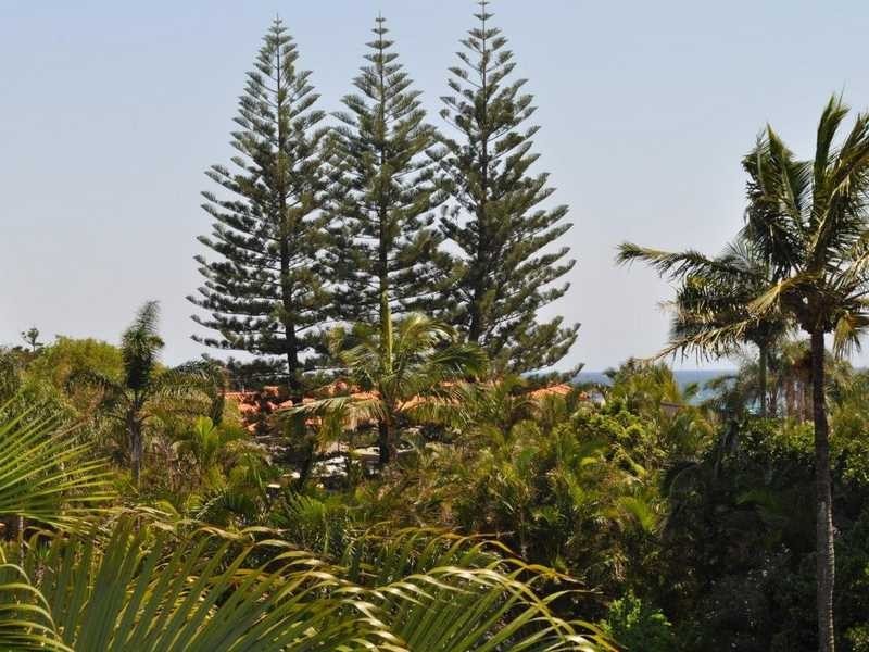 33/955 Gold Coast Highway, Palm Beach QLD 4221