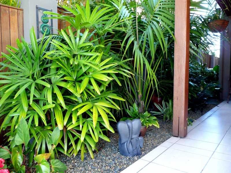 1/11 Tahiti Avenue, Palm Beach QLD 4221