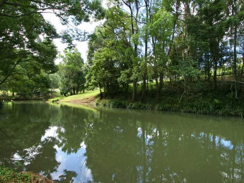 718 Currumbin Creek Road, Currumbin Valley QLD 4223