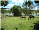 515 Guineas Creek Road, Tallebudgera QLD 4228