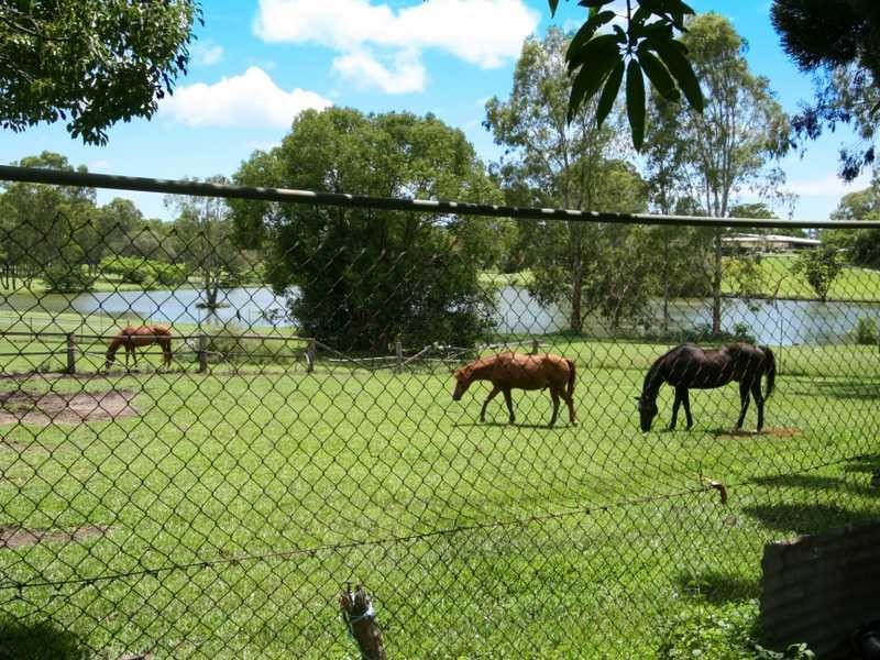 515 Guineas Creek Road, Tallebudgera QLD 4228