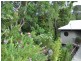 23 Crest Drive, Currumbin QLD 4223