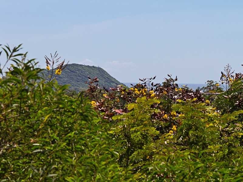 8/43 Doubleview Drive, Elanora QLD 4221