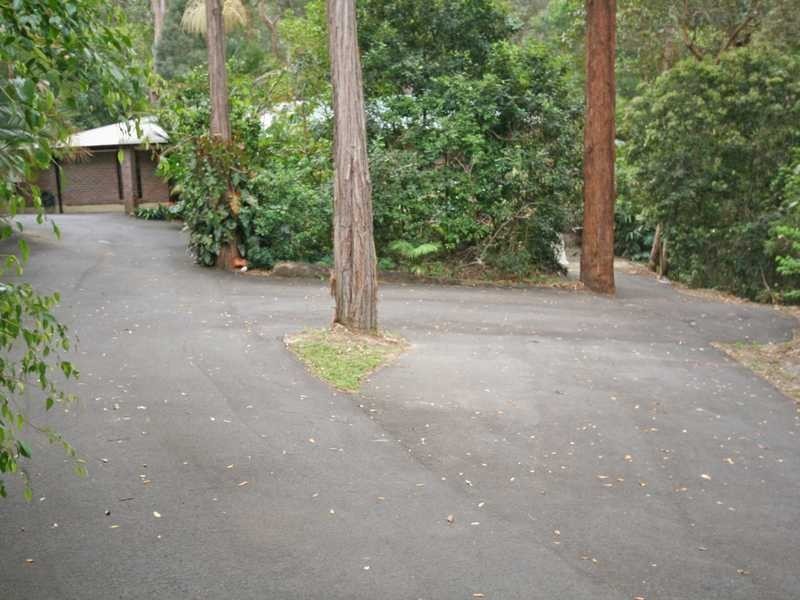 294 Trees Road, Tallebudgera QLD 4228