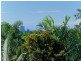 155 K P McGrath Drive, Elanora QLD 4221