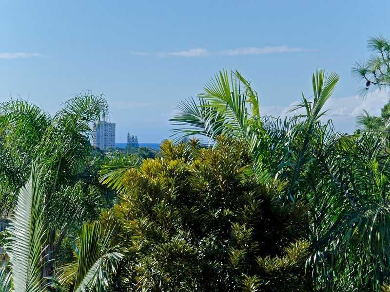 155 K P McGrath Drive, Elanora QLD 4221